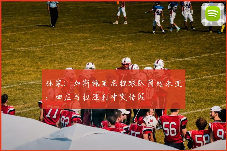 独家:加斯佩里尼称球队团结未变,回应与拉涅利冲突传闻